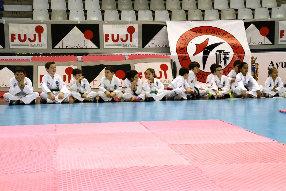Taekwondo Dic 2016 (141).jpg